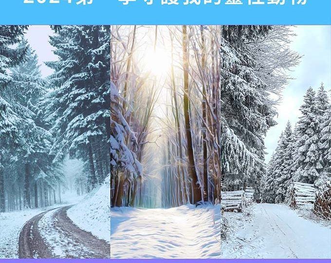 2024第一季守護我的靈性動物